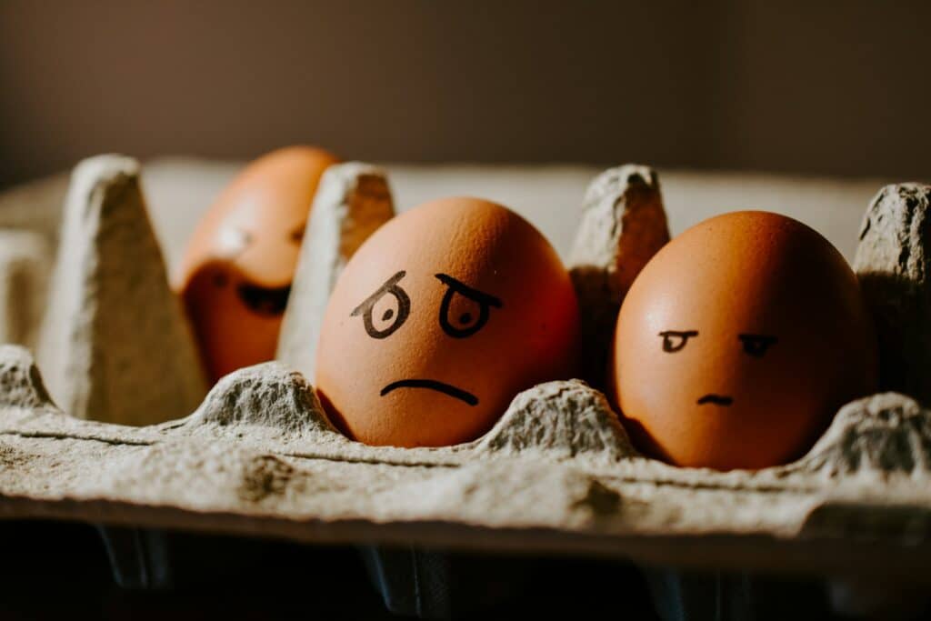 brown eggs in a box - adhd mood swings